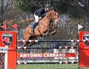 Di Giamberardino Goia TosTour2013- S5 2430 : Arezzo, Arezzo Equestrian Centre, Goia del Castegno del Castegno, Toscana Tour 2013, di Giamberardino Dario, foto di Stefano Secchi ©